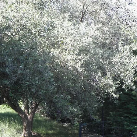 La Parenthese Villa *
